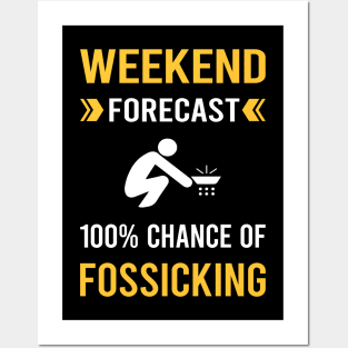 Weekend Forecast Fossicking Fossick Posters and Art